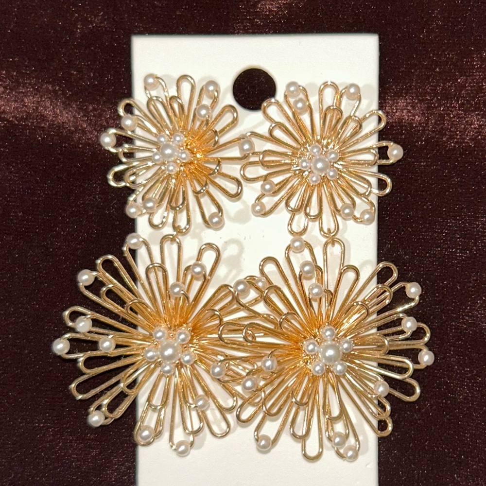 Express Earrings